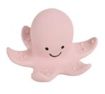 Baby-Rassel Tintenfisch in Box