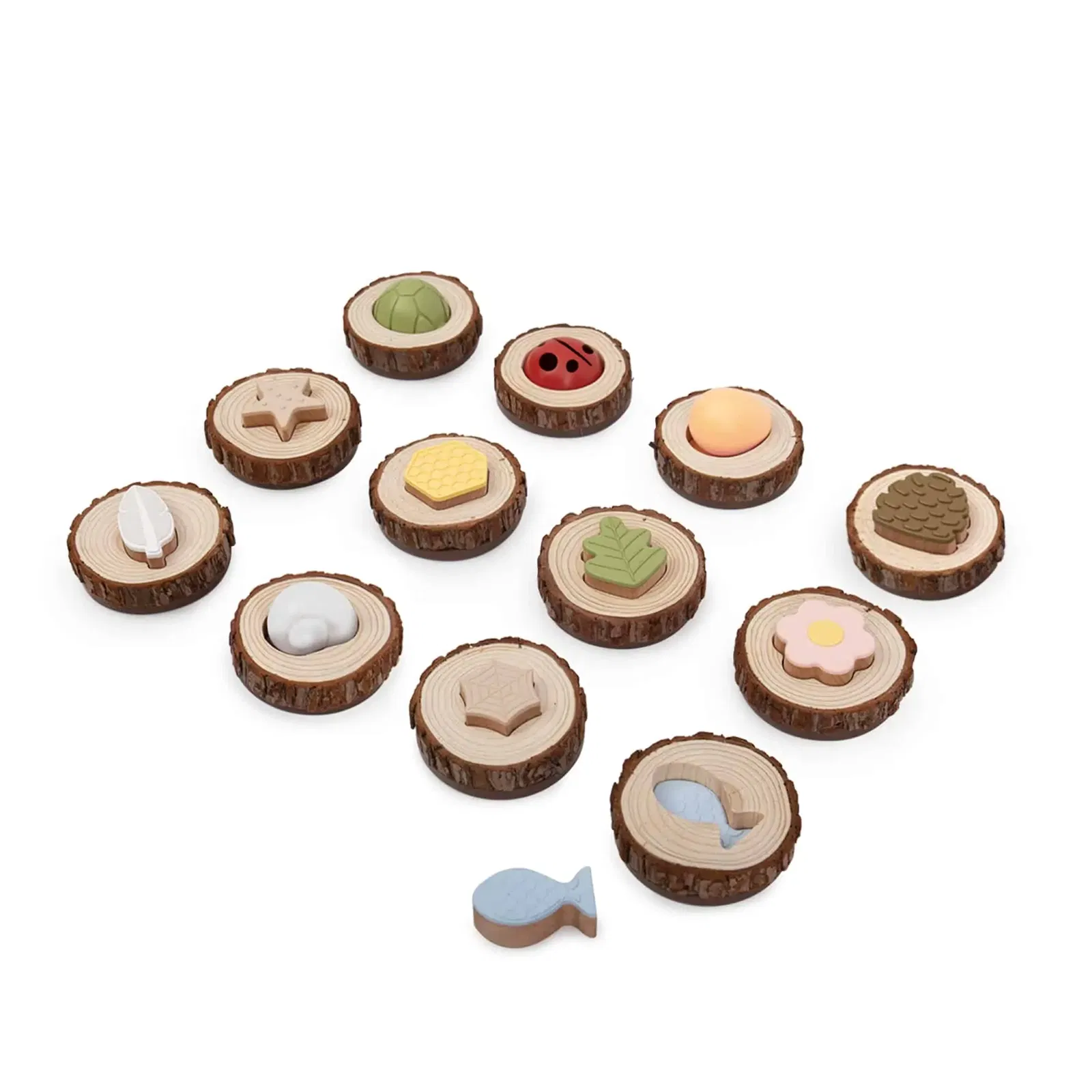 Guidecraft Nature Fühlen & Finden