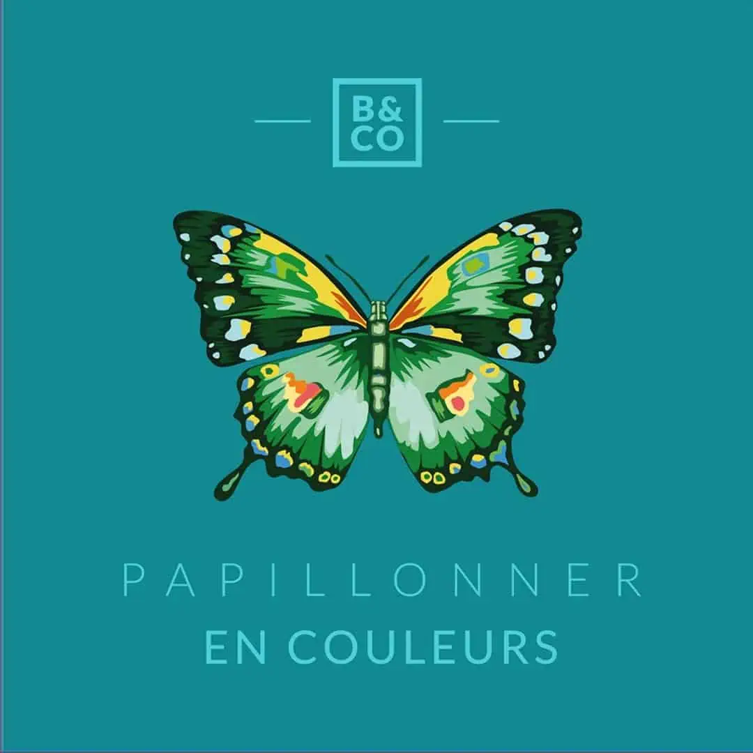 Billes & Co - Box Schmetterling (2) Billes & Co - Box Schmetterling