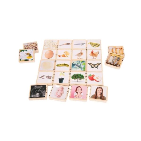 TickiT Wooden Lifecycle Tiles